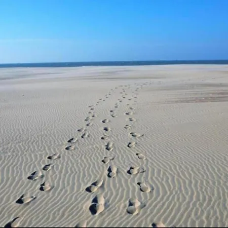 In Near Sandy Beaches, Cleaning Included Lägenhet Nieuwpoort