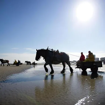 In Near Sandy Beaches, Cleaning Included *